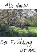 Frühling