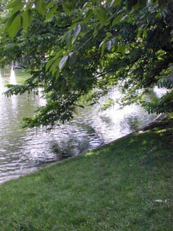 Stadtpark