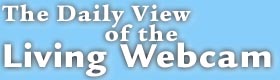 Living Webcam