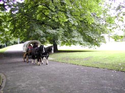 Planwagen im Stadtpark