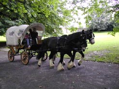 Kutsche und Kutscher