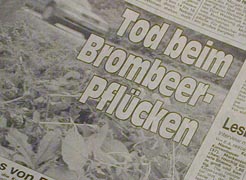 Tod beim Brombeerpflücken