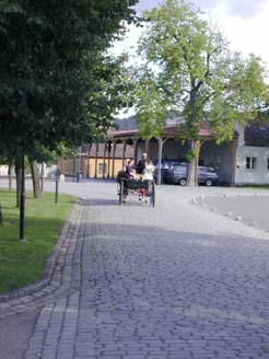 Hochzeitskutsche