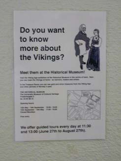 More about the Vikings