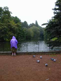 Tauben vergiften im Park