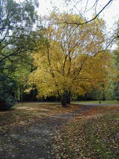 Herbstfarben