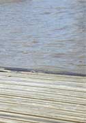 Fischfang