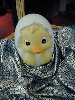 Küken 