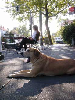 Sonne macht müde