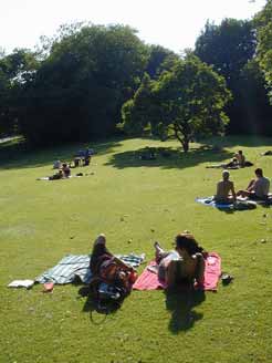 Sonne im Stadtpark