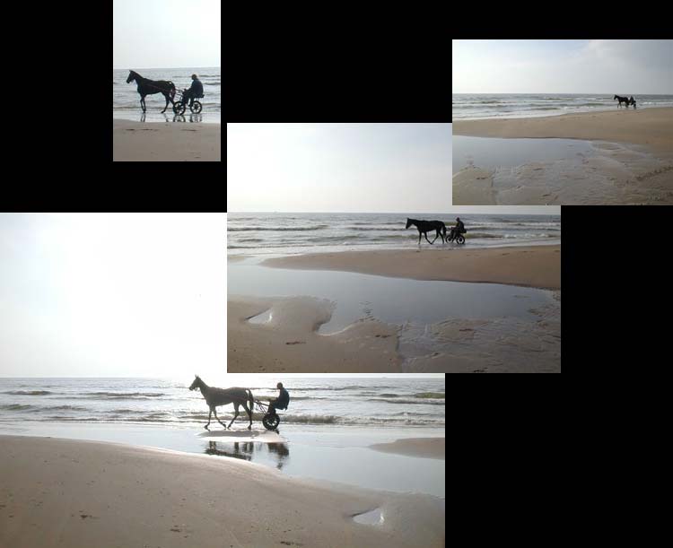 Sulky am Strand in Holland