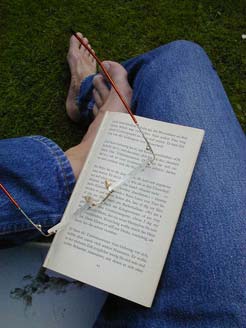lesen und lesen lassen