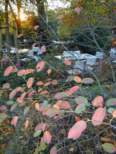 Biergraten im Herbst