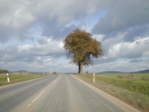 Himmel im Herbst