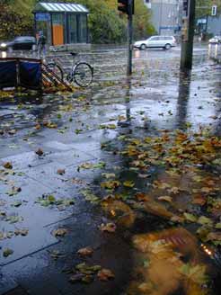 Regen und Blätter