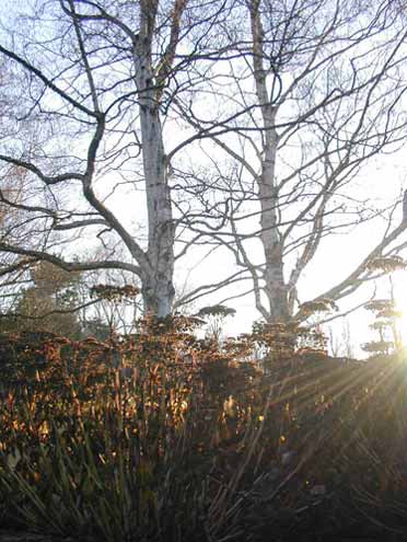 Herbstlicht