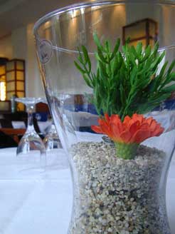 Blume im Glas