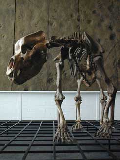 Urwelt-Tier