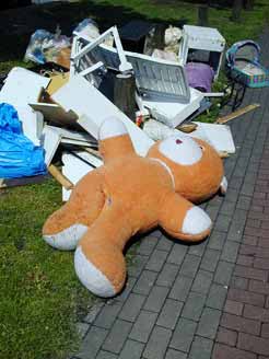 Teddy im Umzugsstreß