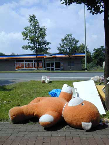Der Bär am Straßenrand