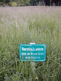 Bitte nicht betreten