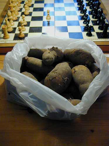 Schachspiel