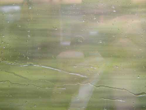 Blick durch das fenster