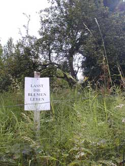 Lasst die Blumen leben