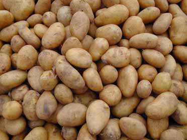 Kartoffeln