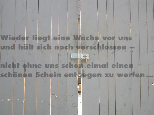 Der schöne Schein