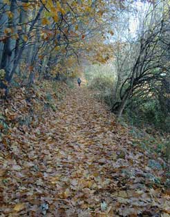 Tunnelblick