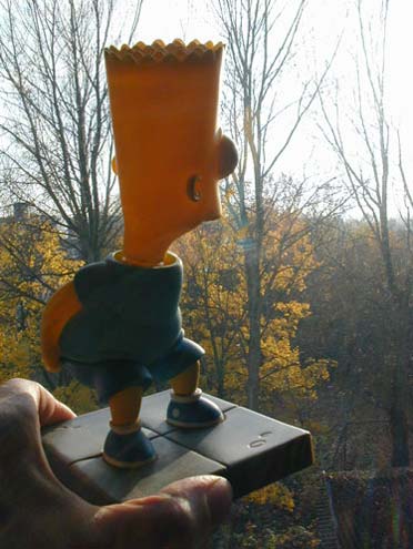 Herbstlicher Ausblick