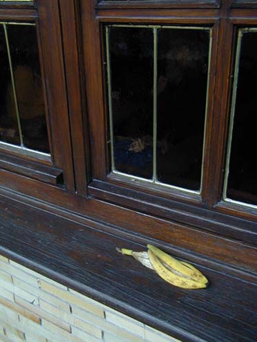 Bananenschale