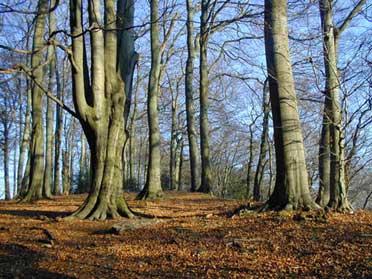 Grenzgänger