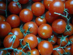 Tomaten