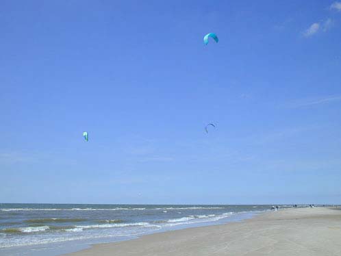 Leben am Strand