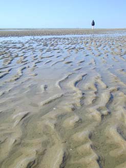 Wandern am Strand